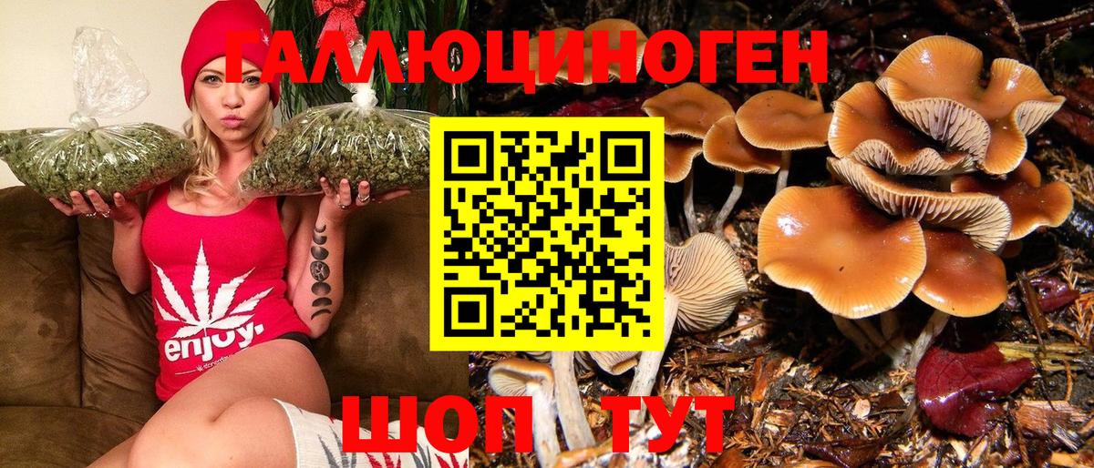 Псилоцибиновые грибы GOLDEN TEACHER  Галлюциногенные грибы MAGIC MUSHROOMS  Зеленокумск  Вход с VPN 