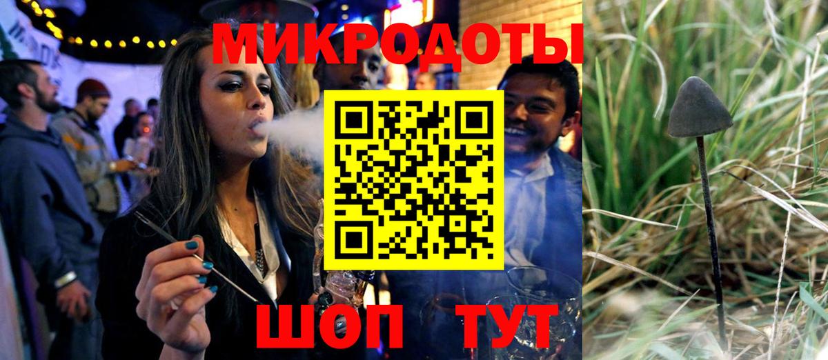 Галлюциногенные грибы Psilocybe Зеленокумск